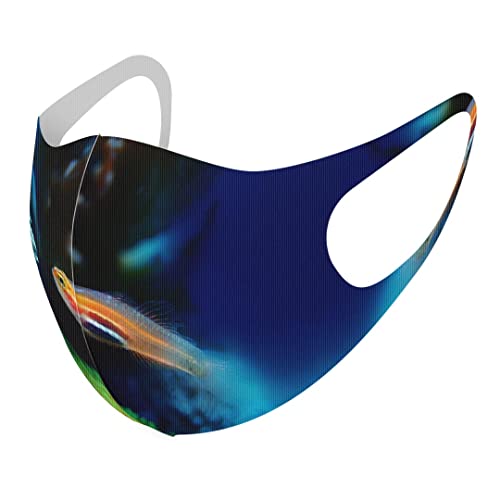 [igsticker] fUC }XN QZbg |GXe 􂦂 z}XN XLTCY 傫 jp 023281  C