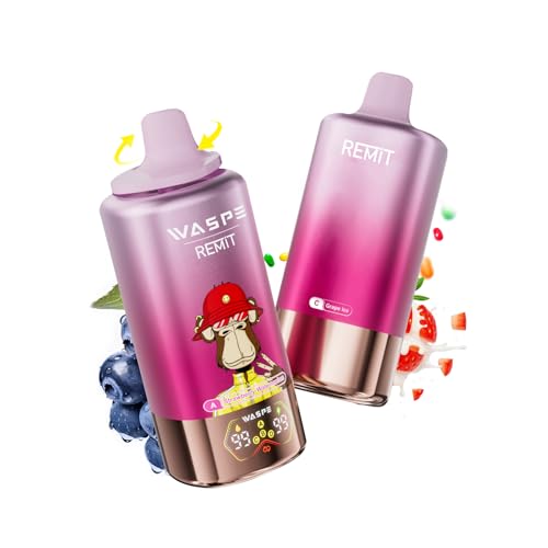 yWASPE 100000zdq^oR ĝWaspe & Remit 100,000ptX 4in1fAbVRC Type-C[d ^уV[V10t[o[ lC jR`^[ xCv(Xgx[EXCJ~X^[Eu[