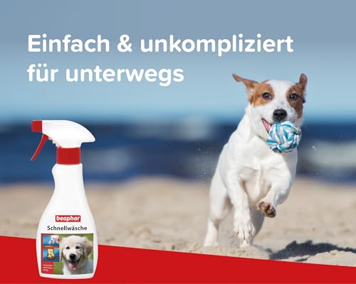 BEAPHAR - Schnellwäsche Für Hunde - Einsprühen - Abtrocknen - Fertig - Beseitigt Schmutz Und Üble Gerüche - Schnelle Und Einfache Reinigung Der Pfoten - 250 ml