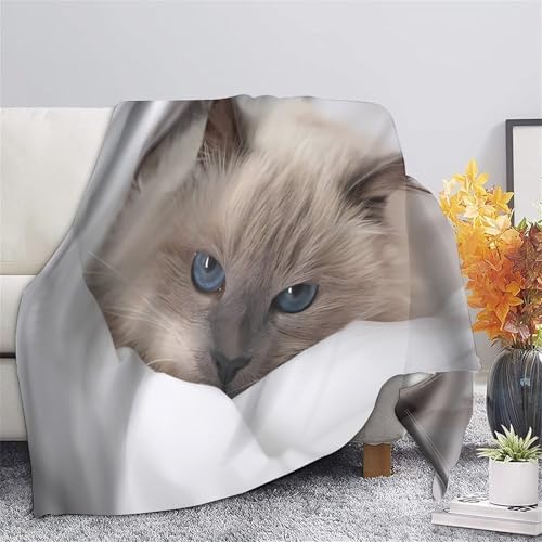 Couverture antistatique et lavable plaid microfibre doux imprimé chat - 5