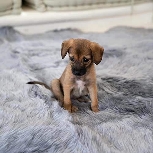 Outlavish Sheepskin Rug Genuine Real Wool Fur, Luxury New Zealand Pelts, Natural Silky Soft Lamb Skin, Thick & Fluffy, Long Runner For Bedroom & Living Area, 2X6 Ft Volcanic Grey #TOP2