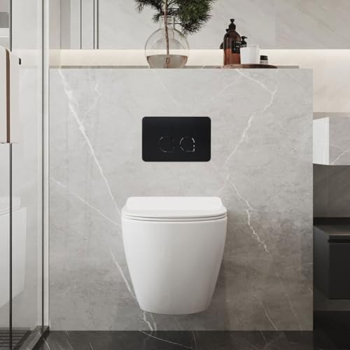 Cisterna oculta panel empotrado de doble botón 246x164mm para recambio 3