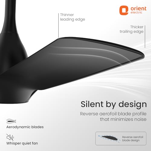 Image of Orient Electric Aerosilent | India's Most Silent Fan | Less than 50dB| 1200mm BLDC Ceiling Fan with Remote | BEE 5-Star Energy-Efficient Fan | Red Dot Design Winner| 5-Year Warranty | Matt Black