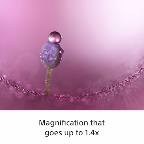 Image of Sony E-Mount FE 100 MM F2.8 Macro GM OSS Full-Frame Lens (SEL100M28GM) I 1.4X Magnification I Excellent Macro Lens - Black