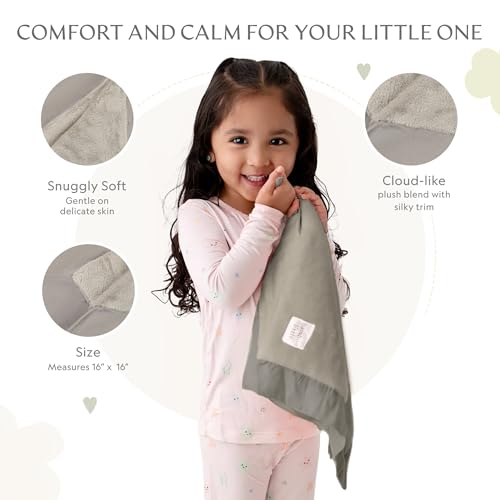 Image of Ultra-Soft Lovey Security Blanket Plush, Satin Trim 16x16 Gray