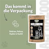 alphazoo Seelenruhe Tabletten für Hunde 180g - Ergänzungsfuttermittel mit Baldrian Melisse Hopfen - mit Hanföl & Taigawurzel - ohne künstliche Zusätze - für Gewitter Silvester Autofahrt