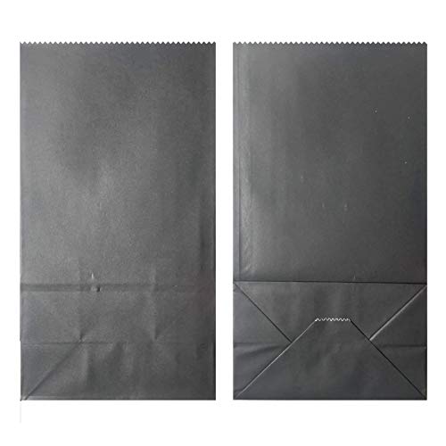 Artseen Party Favor Paper Bags for Party Celebration Treated Paper Bags (24 CT) (Black)
