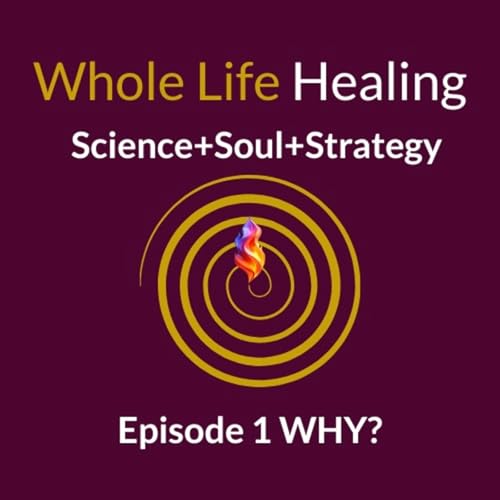 Whole Life Healing: Why Treating Symptoms Isn't Enough (AND what actually works)