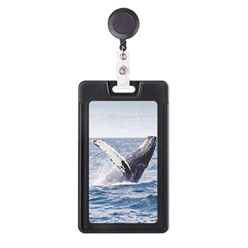 Funda retráctil para tarjetas de ballena jorobada: portacredenciales de ciencia marina
