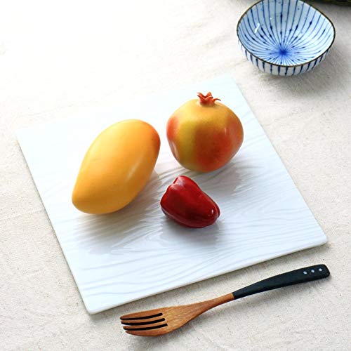 cerapockke ؖڃtbgv[g 24.5cm Y Z pX^M pM G{X Xe[LM mH XNGAv[g v[g pM H Xg v[g H fU[g XC[c p  H H m ؐH mH