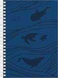 Wochenplaner Ocean Ringbuch 2027: Buchkalender A5 (15x21 cm) - Wochenplaner mit 4-sprachigem Kalendarium, Monatsübersicht & Notizbereich, für Beruf, Schule & Alltag