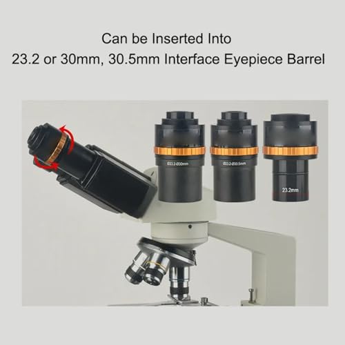 Ocular de microscopio eléctrico regulable con interfaz de cámara y campo ampliado 3