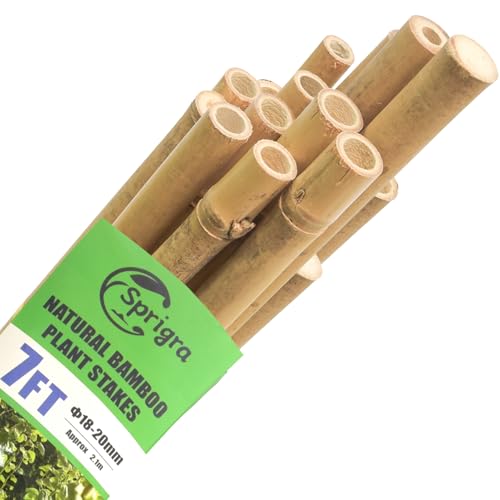 Bamboo Garden Stakes 7 Feet for Plant Support