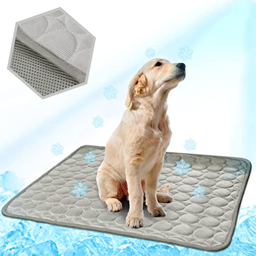 List of Ten Best Cooling Dog Mats [Top Picks 2023 Reviews]