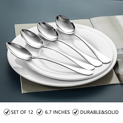 SANTUO Stainless Steel Teaspoon Set,12 Piece 6.7" Spoons Silverware,Dessert Spoons,Mirror Finish & Dishwasher Safe by SANTUO - Image 2