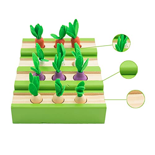 ONEST 4 Sets Wooden Montessori Toys for Toddlers Age 1-3, Carrot Peanut Onion Vegetable Harvest Shaped & Size Matching Game Fine Motor Skill Wooden Toys, Baby Preschool Learning Best Gift - Thumbnail 6