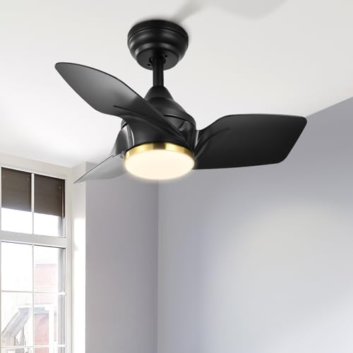 DWVO 26 Inch Ceiling Fans with Light and Remote, Small Modern Black Ceiling Fan with 3 Blades, 6 Speeds, 3 Colors Dimmable for Bedroom Patio Kitchen, DC Quiet Motor, Memory Function, Black