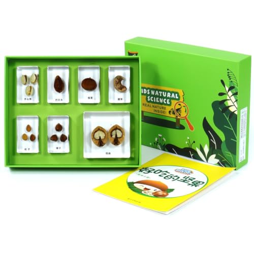 Kit especímenes transparente para educadores que buscan mejorar la atención de sus alumnos