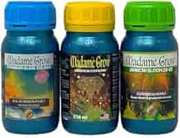 MADAME GROW Growth Accelerator 500ml - Organischer Dünger Für Pflanzen & Hanf