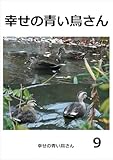 幸せの青い鳥さん　9