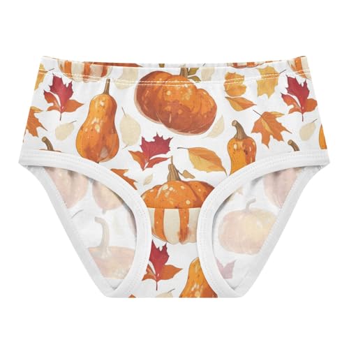 Wusikd Pumpkins Leaves Girls' Underwear Cotton Girls Briefs Soft Toddler Underwear 2T