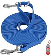 Long Dog Leash Training: Master Your Walks