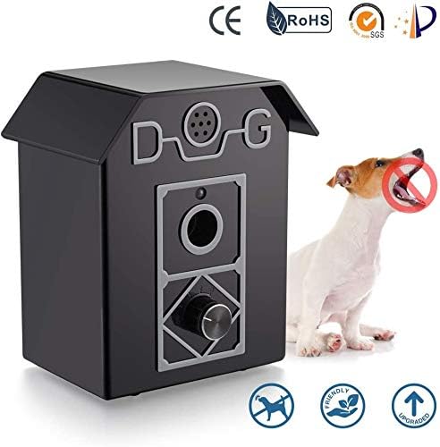 macchina ad ultrasuoni per cani