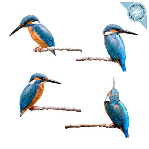 4 Kingfisher Window Clings for Glass Windows and Doors | Window Decals for Birds Strikes | Anti Collision Window Stickers Decor | Decorative Bird Window Decals for Sliding Glass Doors