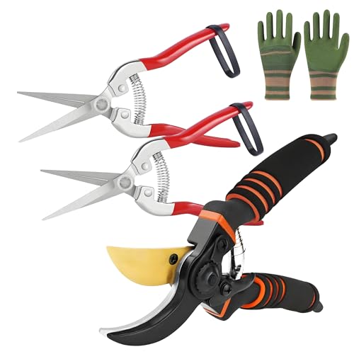 Garden Secateurs, 3 Pack Carbon Steel Gardening Pruning Shears, Secateurs Heavy Duty, Stainless Steel Garden Clippers with Garden Gloves for Plants, Yard, Flower Gardening