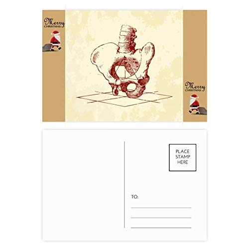 Squelette humain sur cartes postales : lot de 20 illustrations pour déco de cabinet et bureau