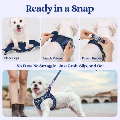 Image of rabbitgoo Dog Harness Small Sized and Leash Set, Step-in Puppy Pet Vest
