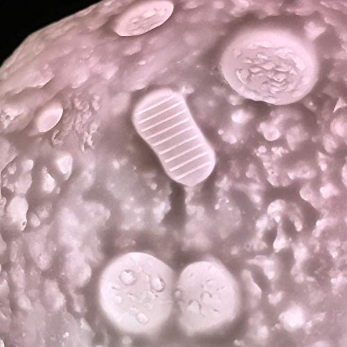 Fizz Creations cambiacolore luna lampada