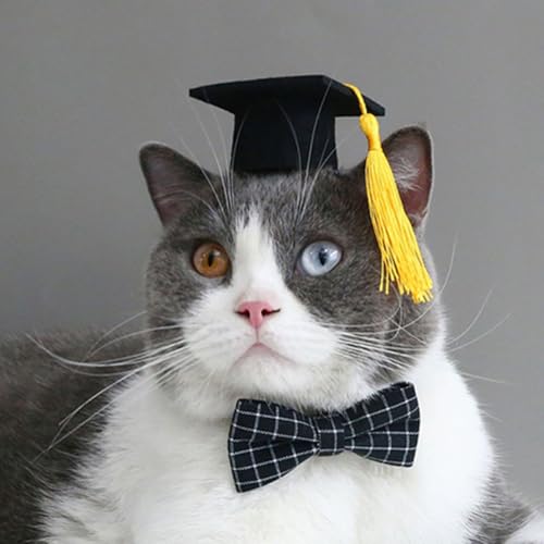 Disfraz de graduación para mascotas Luxshiny con gorro y corbata miniatura 5