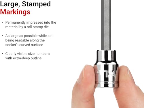 Image of TEKTON 3 /8 Inch Drive x 1 /8 Inch Long Slotted Bit Socket | SHB10400