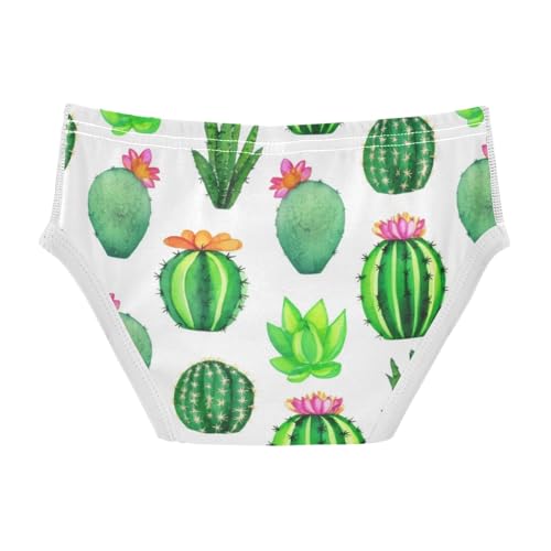 ODAWA Cacti Succulents Toddler Cotton Underwear, Boy Underwear 2T2