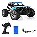 HALOFUN RC Car for Kids, 1:18 Electric RC Car Vehicle 2.4GHz Radio Remote Control Car with 2W High Speed Racing Truck for Kids Adults