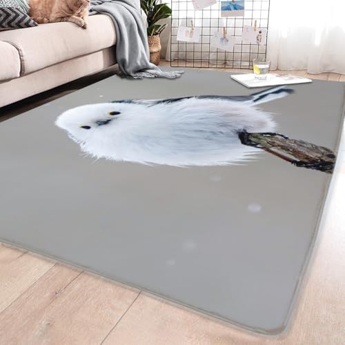 �J�[�y�b�g �V�}�G�i�K ���킢�� �� �O�~ 203×148cm ���O�}�b�g �唻 �􂦂郉�O �}�b�g ���� ���r���O�p �k�� ������� ���イ���� ����~�� �I�[���V�[�Y�� �����` �t�����l�����O