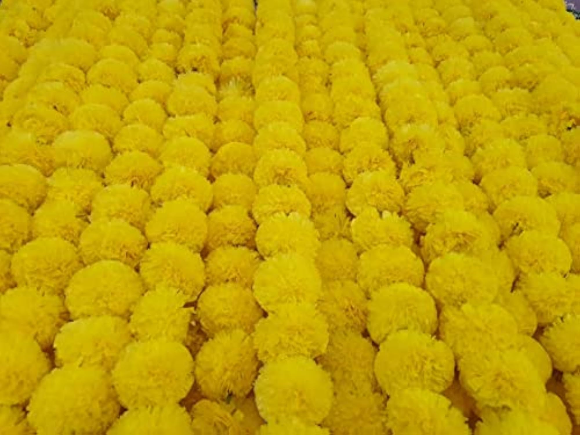 Artificial Marigold Flower Garlands, 5 Feet Long