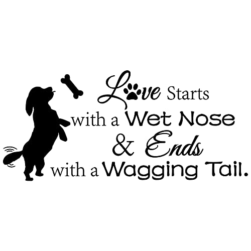 Arts Wall Decal Love Starts With A Wet Nose And Ends With A Wagging Tail Cute Doggy Apartment Bedroom Living Room Vinyl Home Wall Stickers #TOP10