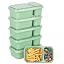 6 Pack Green