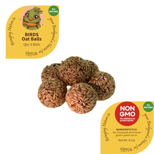 Bird Seeds Balls, 48 Pieces, with Sunflower Seeds, Oat and Mealworms, for Wild Bird, Squirrel, Chicken and Wildlife Small Animal. All in Nature Nutritious Food for Wild Small Animal