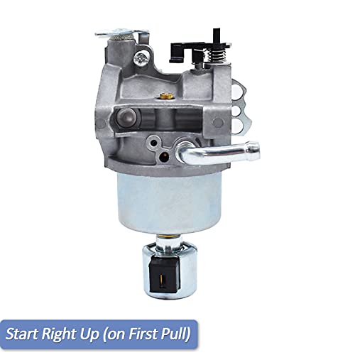 796587 Carburetor - First Pull