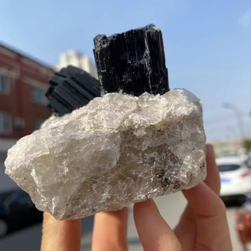 Quartz noir tourmaline pierre brute symbiotique de qualité premium - 4