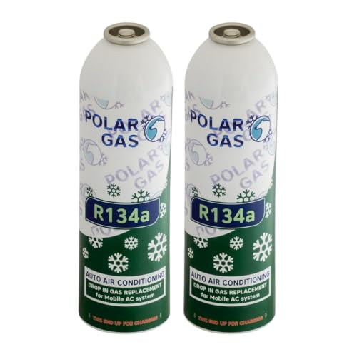 2GA Car Aircon AC 2pcs R134a Compatible Refill Recharge Regas Gas