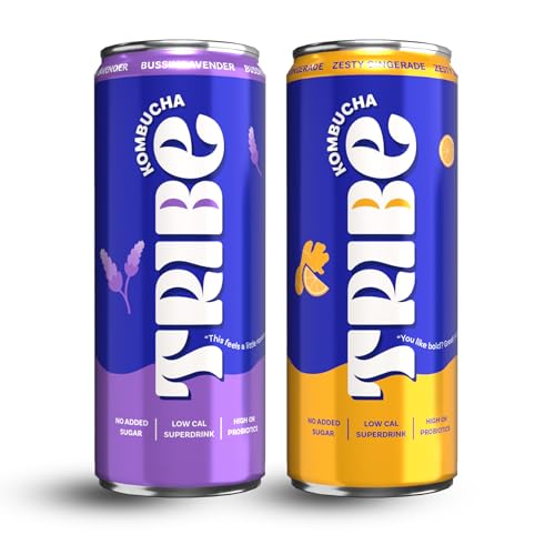 Image of Tribe Kombucha Probiotic Super Drink | Supports Gut Health | Gluten-Free | Naturally Fermented | Super Refreshing | Gut Friendly | Improves Blood Sugar | Antioxidant and Hydration | No Added Sugar |250 ML X 2 (ZESTY GINGERADE + BUSSIN LAVENDER)