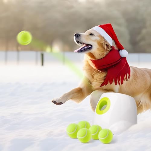 ballwurfmaschine Hund, (Grün)