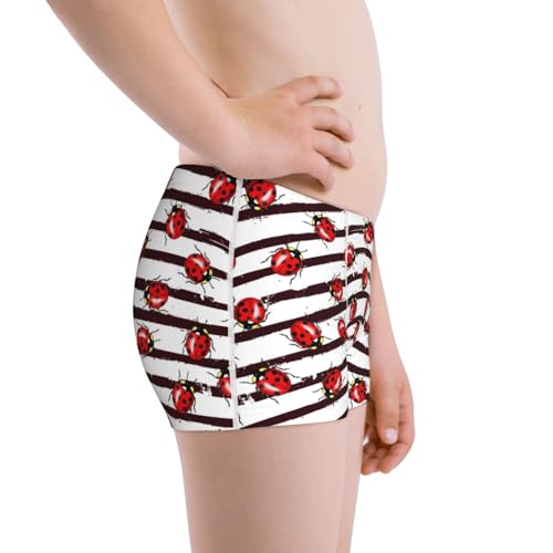 Boys' Cotton Boxer Brief Soft Underwear-Ladybugs On Black And White Striped12