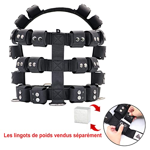 Walktime Dog Harness For Small Medium Large Dogs No Pull, Dog Weighted Vest thumb #3