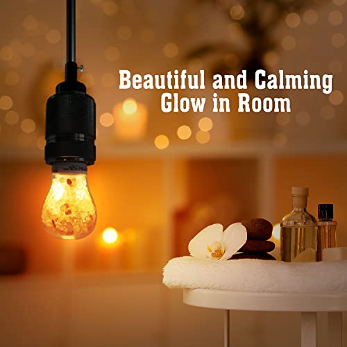 Himalayan Glow Led Light Bulb, Patent Design 60-Watt Equivalent, Warm Amber Glow, Salt Bulb Light, 4 Count #TOP6