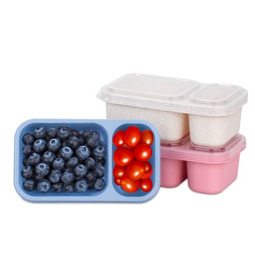 2-Compartment Reusable Snack Containers (3-Pack)